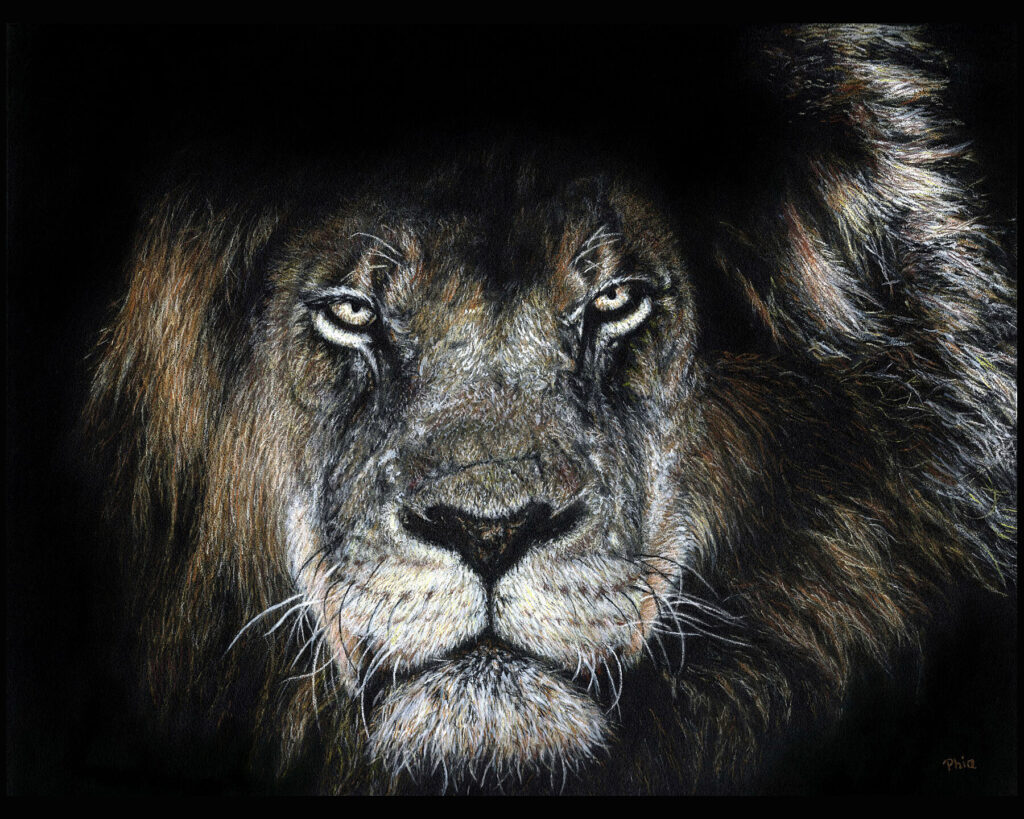Lion in Wait