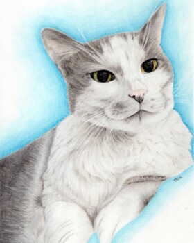 An exceedingly handsome cat named Smokey (RIP Bandit). Completed in coloured pencil only, March 2021.