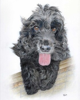 A lovely curly haired girl named Izzy. Commission completed February 2024. Coloured pencil only.